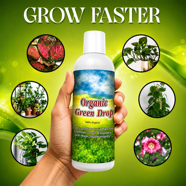 Plant Protection Spray - Buy 1 Get 2 Free