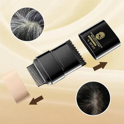 KOREAN 2-in-1 pack of Instant Hair Dye Stick with Built-in Comb, Gray Hair Dye