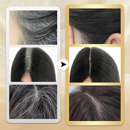 KOREAN 2-in-1 pack of Instant Hair Dye Stick with Built-in Comb, Gray Hair Dye